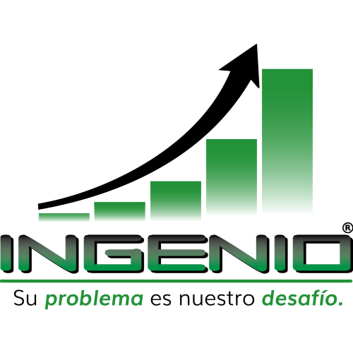 INGENIO- CONSULTORIA 